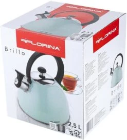 Florina Brillo Fluitketel 2,5L Voor Alle Warmtebronnen - Waterketel - Mint Groen 12 Florina Brillo Fluitketel 2,5L Voor Alle Warmtebronnen - Waterketel - Mint Groen -Kookpot Serie Winkel 1086x1200