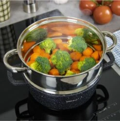 Stoompan INZET 2.6L – Rijststomer - Groentestomer Ø 20 Cm RVS -Kookpot Serie Winkel 1196x1200 4