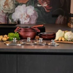 Herenthal Pannenset Inductie - Luxe 10-delige Koekenpan Inductie - Voor Alle Warmtebronnen - Pannen Met Glazen Deksels En Koudgrepen - Burgundy -Kookpot Serie Winkel 1200x1200 339