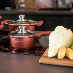 Herenthal Pannenset Inductie - Luxe 10-delige Koekenpan Inductie - Voor Alle Warmtebronnen - Pannen Met Glazen Deksels En Koudgrepen - Burgundy -Kookpot Serie Winkel 1200x1200 340