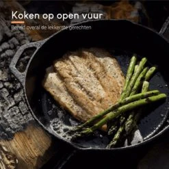 Ocina Gietijzeren Pan – ø30,5cm - Skillet - Koekenpan – Hapjespan – Koekenpan Inductie – Koekenpannenset - Gietijzeren Pan Bbq - Gietijzer 15 Ocina Gietijzeren Pan – ø30,5cm - Skillet - Koekenpan – Hapjespan – Koekenpan Inductie – Koekenpannenset - Gietijzeren Pan Bbq - Gietijzer -Kookpot Serie Winkel 1200x1200 430