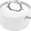 Demeyere Classico 3 Kookpan – Met Deksel – Inductie – RVS – 20 Cm – 3L -Kookpot Serie Winkel 1200x790