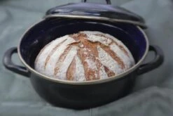 BK Fortalit Braadpan Ø 22 Cm / 2L - Emaille - Inductie 18 BK Fortalit Braadpan Ø 22 Cm / 2L - Emaille - Inductie -Kookpot Serie Winkel 1200x800 246