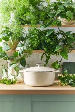 Tefal LOV Braadpan - 5L - Ø25 Cm - Beige -Kookpot Serie Winkel 800x1200 30